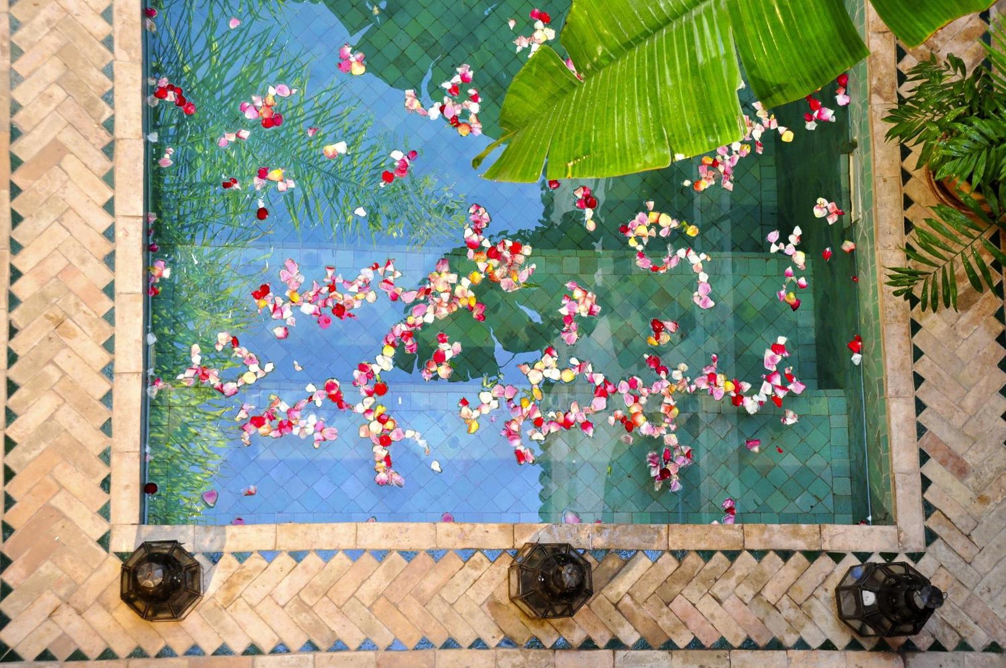 Riad Aguaviva Marrakesh Bagian luar foto
